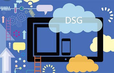 DSG软件